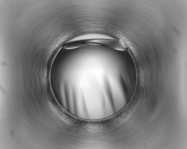 X0000090880490200708101347