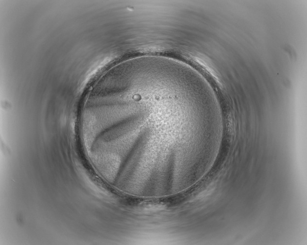 X0000090880491200708101347