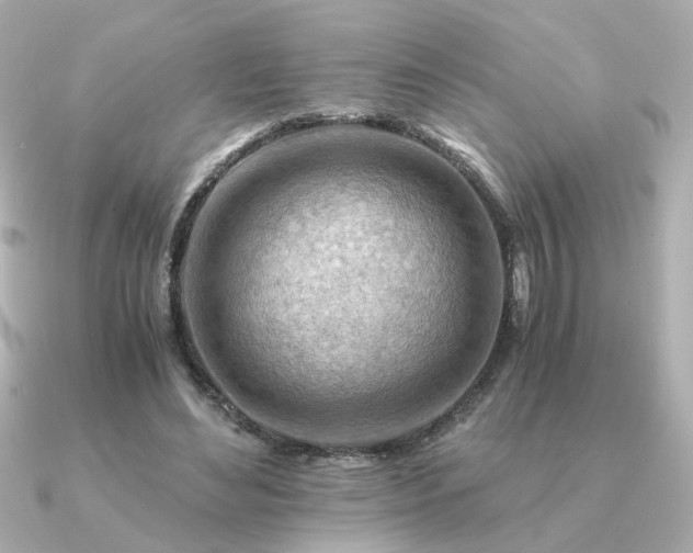 X0000090880492200708101347