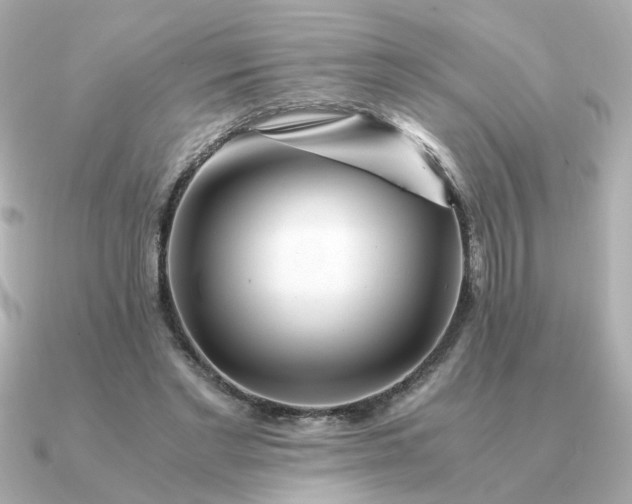 X0000090880493200708101347