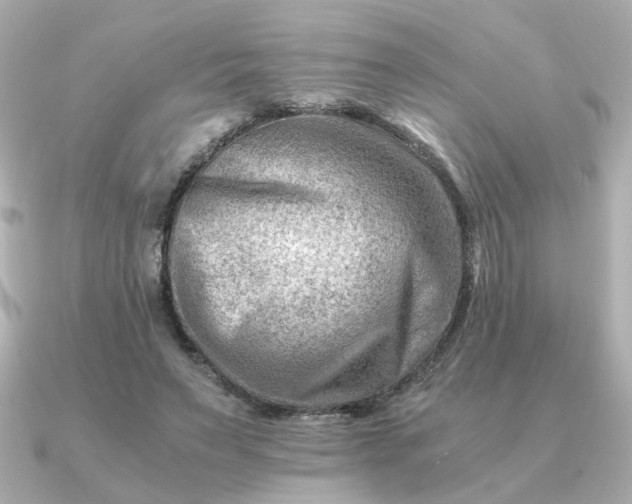 X0000090880495200708101347