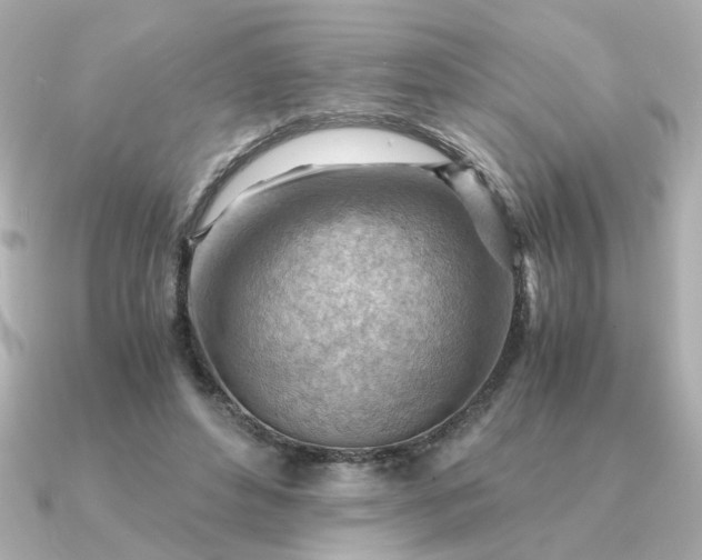 X0000090880496200708101347