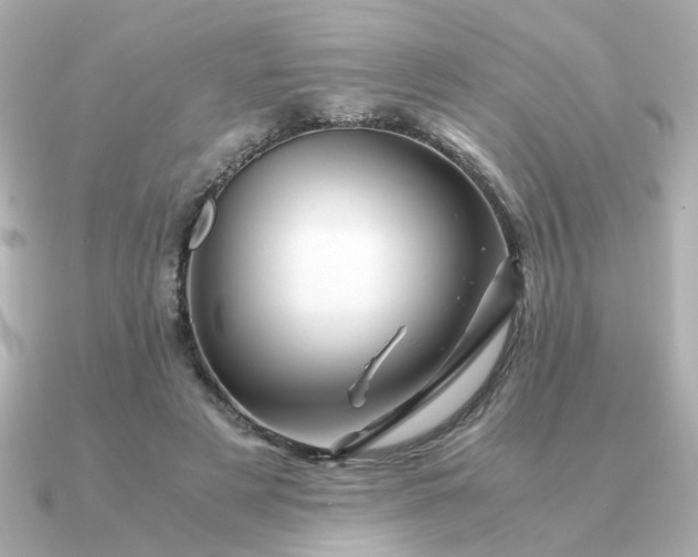 X0000090880497200708101347