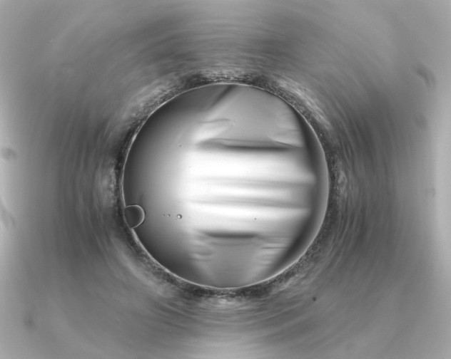 X0000090880498200708101347