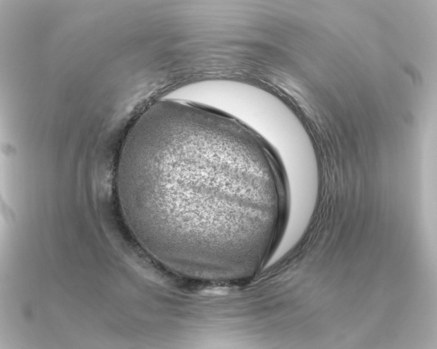 X0000090880499200708101347