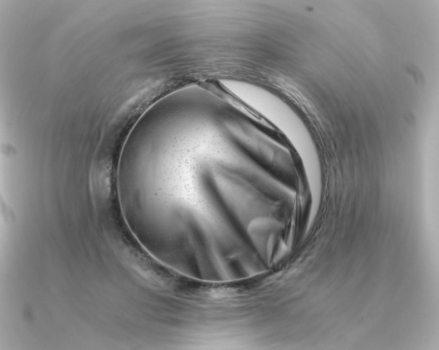 X0000090880501200708101347