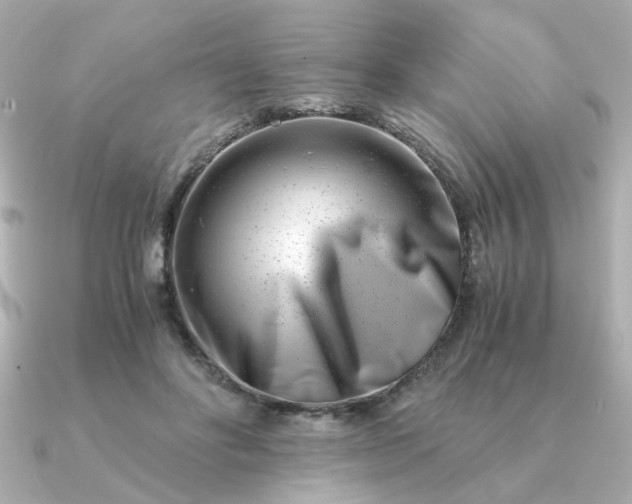 X0000090880502200708101347