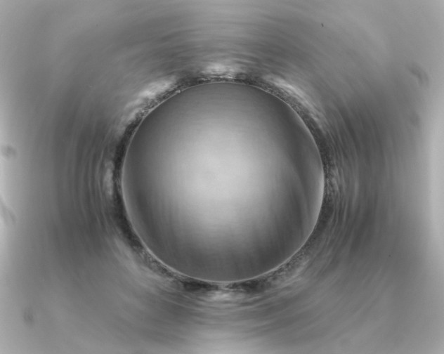 X0000090880504200708101347