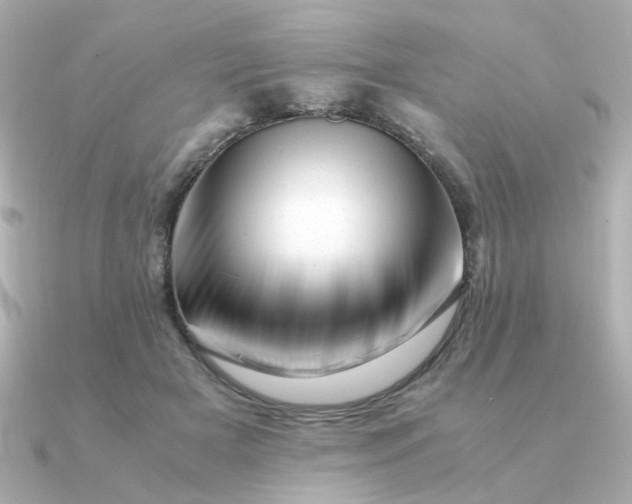 X0000090880505200708101347