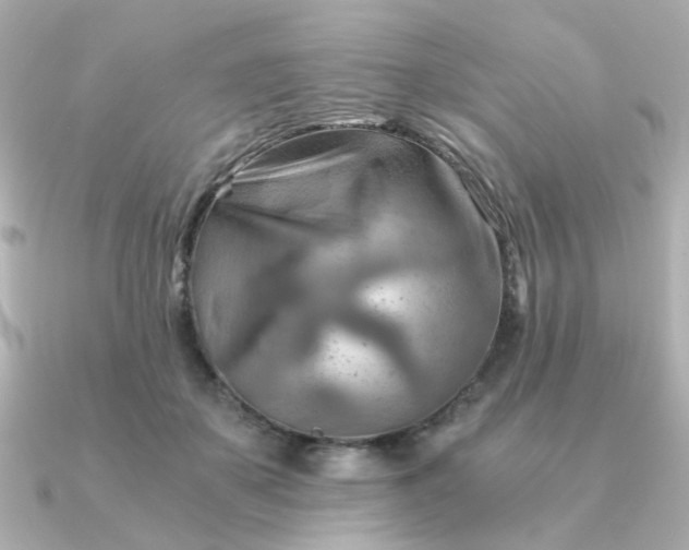 X0000090880507200708101347