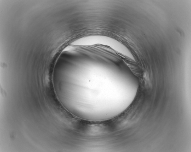 X0000090880508200708101347