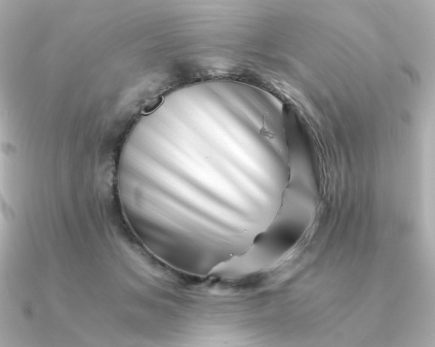 X0000090880509200708101347