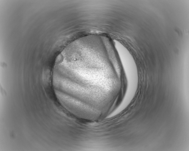 X0000090880511200708101347