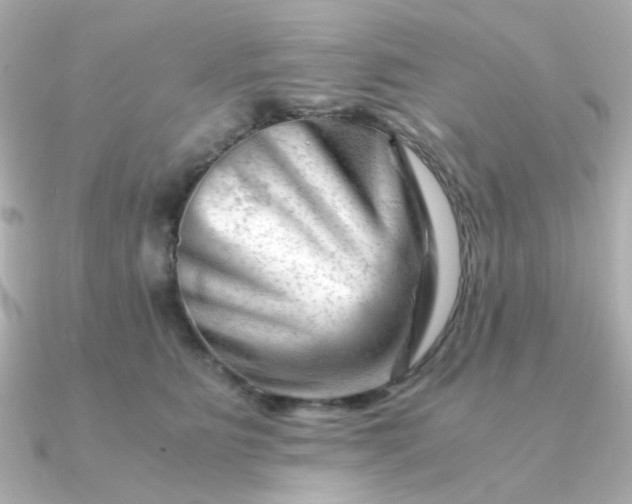 X0000090880515200708101347