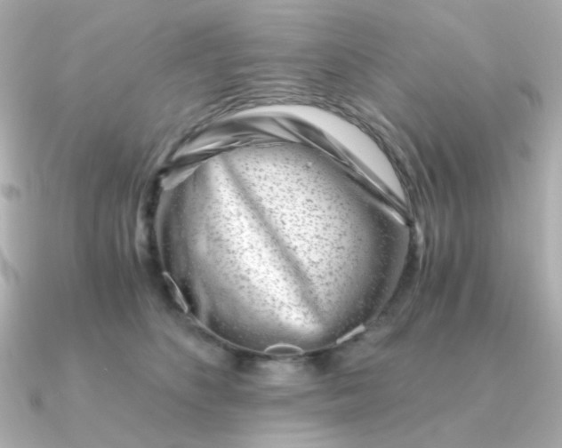 X0000090880516200708101347