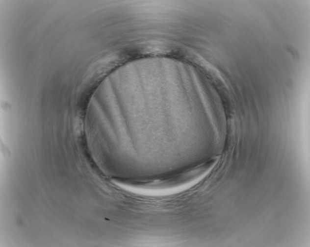 X0000090880517200708101347