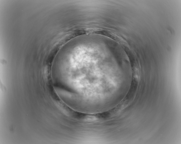 X0000090880519200708101347