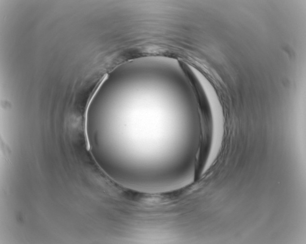 X0000090880521200708101347