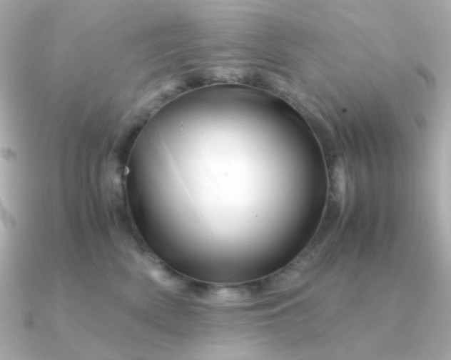 X0000090880522200708101347