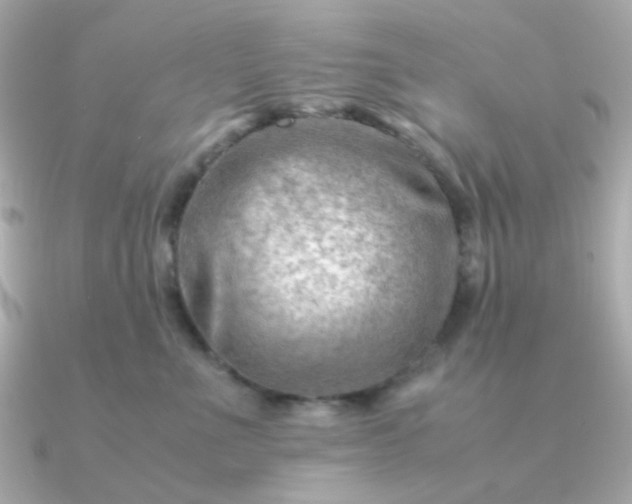 X0000090880523200708101347