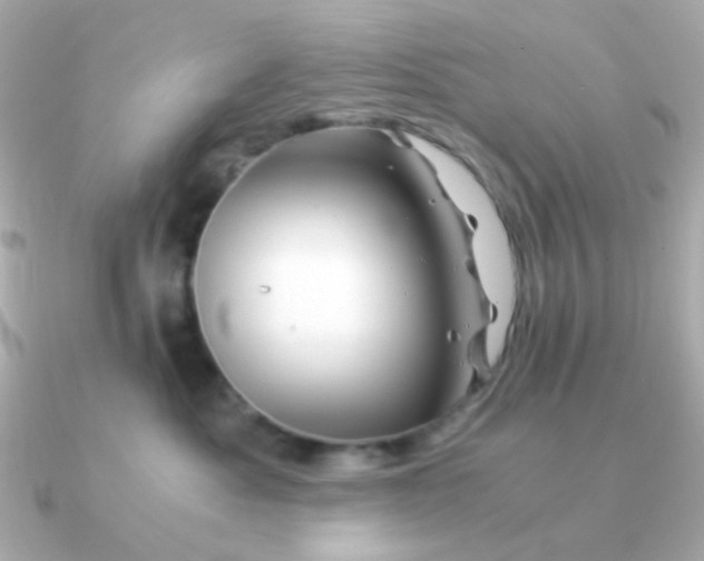 X0000090880525200708101347