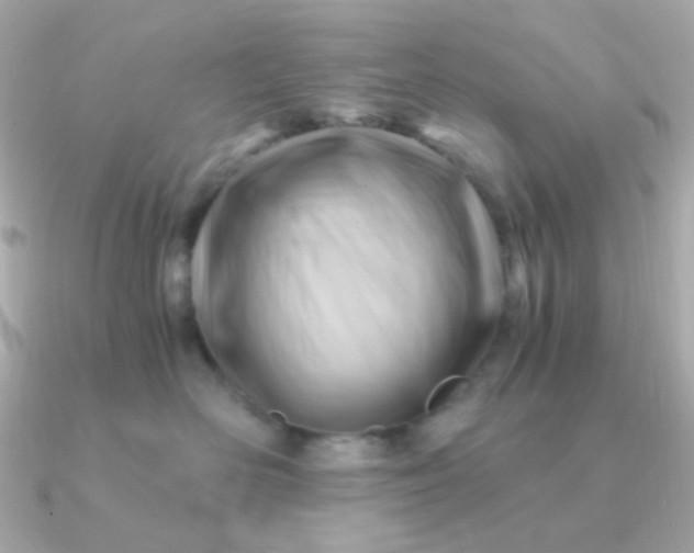 X0000090880526200708101347