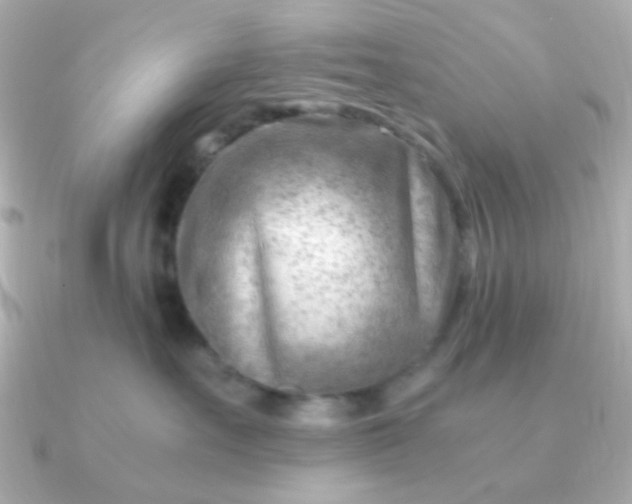 X0000090880527200708101347