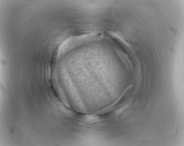 X0000090880528200708101347