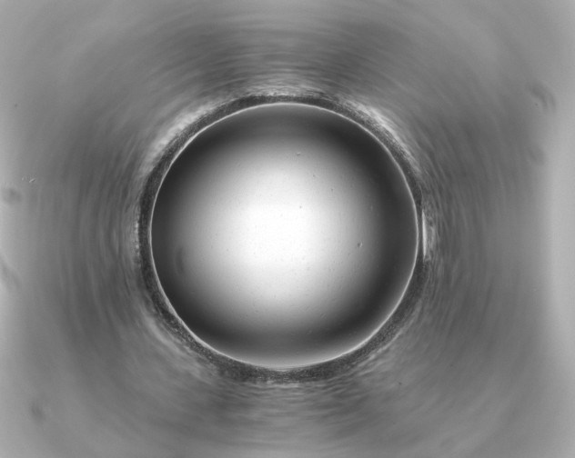 X0000090880531200708101346