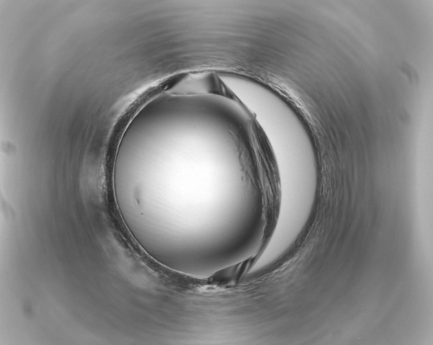 X0000090880532200708101346