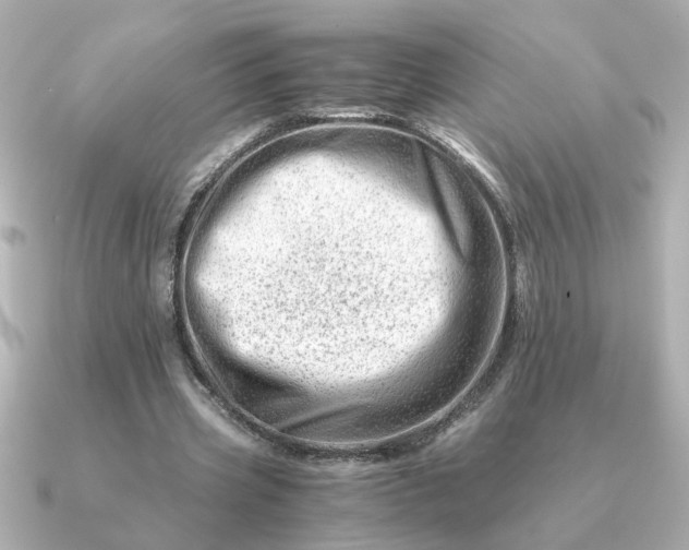 X0000090880533200708101346