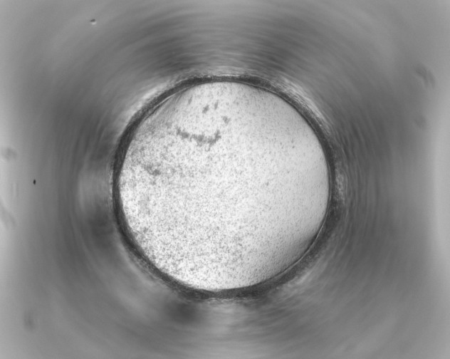 X0000090880534200708101346