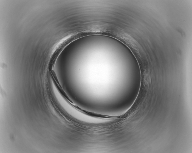 X0000090880536200708101346