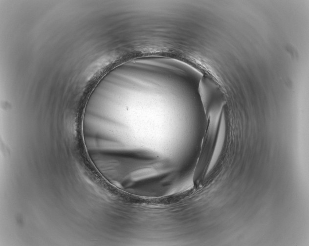 X0000090880539200708101346