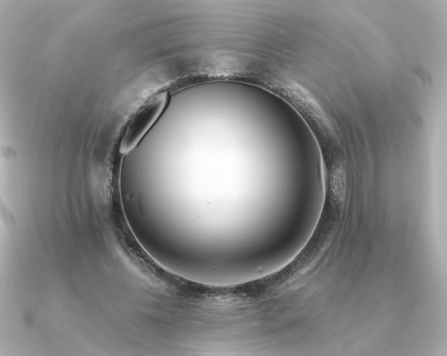 X0000090880540200708101346