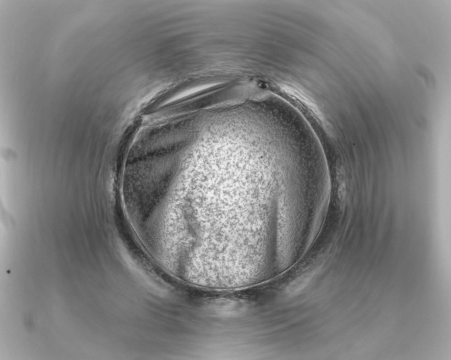 X0000090880542200708101346