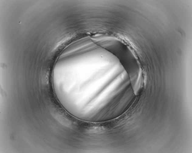 X0000090880543200708101346