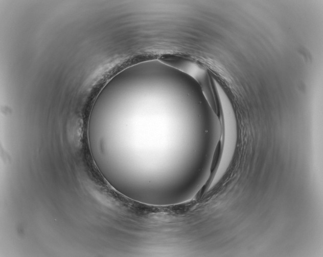 X0000090880544200708101346