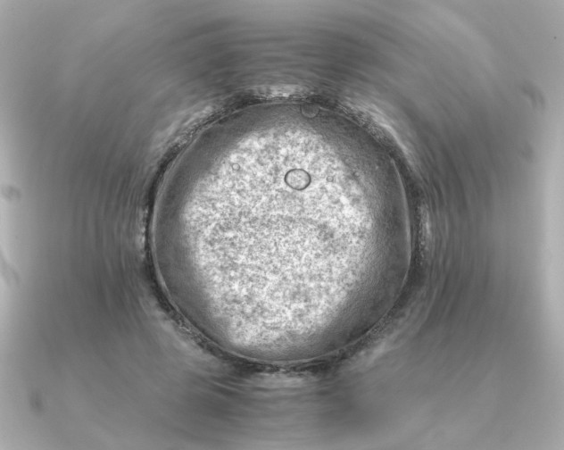 X0000090880545200708101346