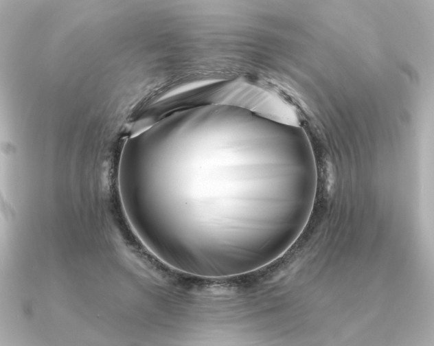 X0000090880546200708101346