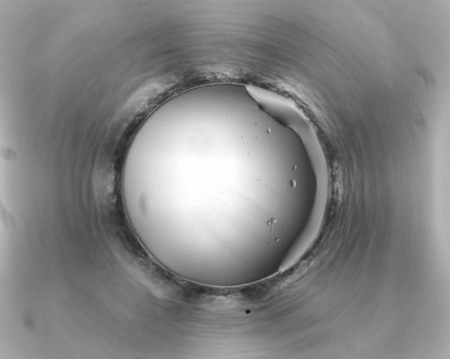 X0000090880548200708101346