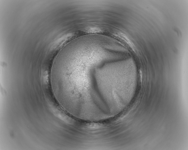 X0000090880549200708101346