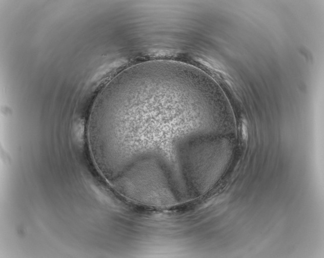 X0000090880550200708101346