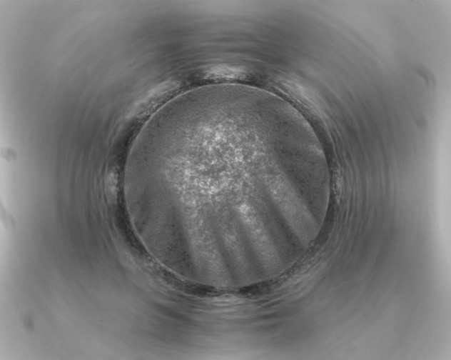 X0000090880551200708101346