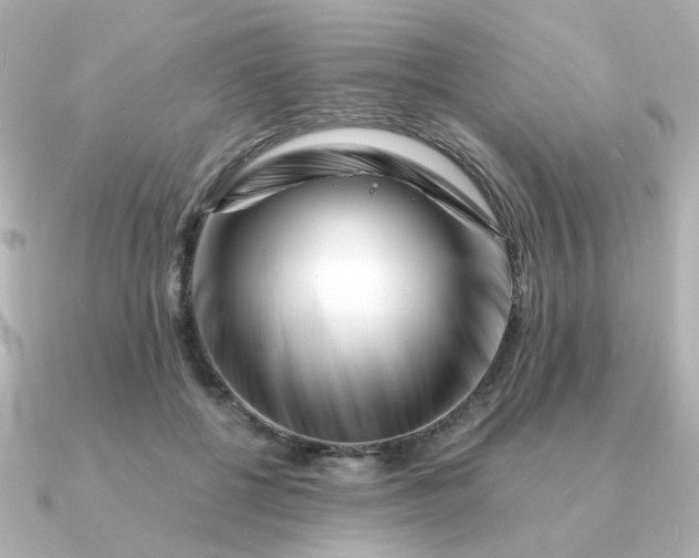 X0000090880552200708101346