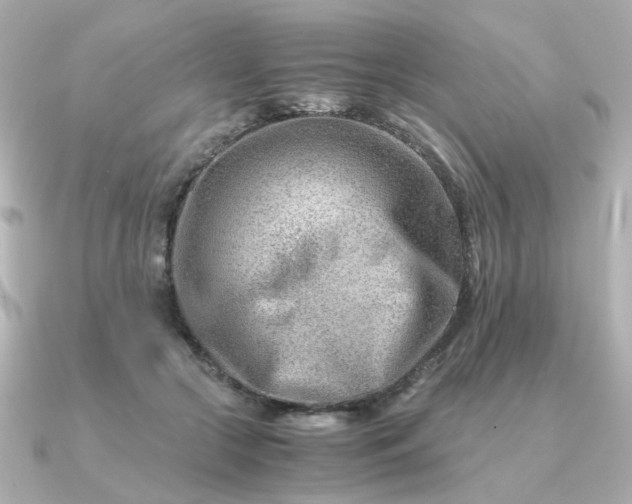 X0000090880553200708101346