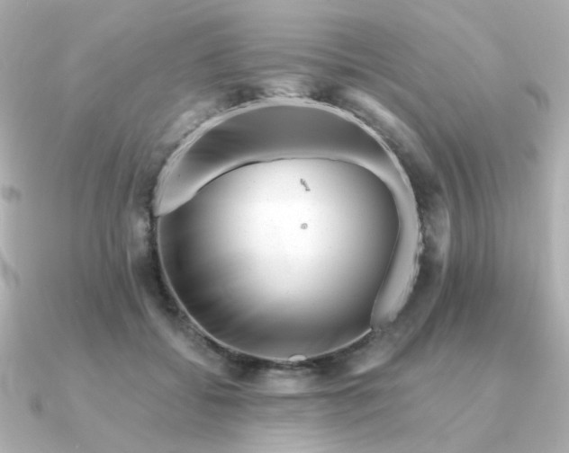 X0000090880556200708101346