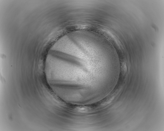 X0000090880557200708101346