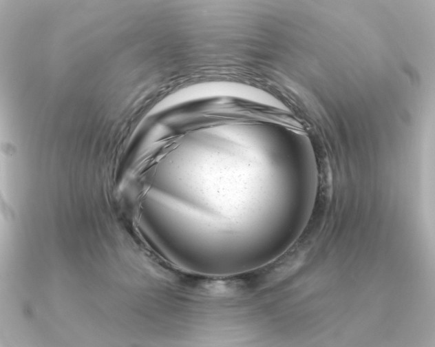 X0000090880558200708101346