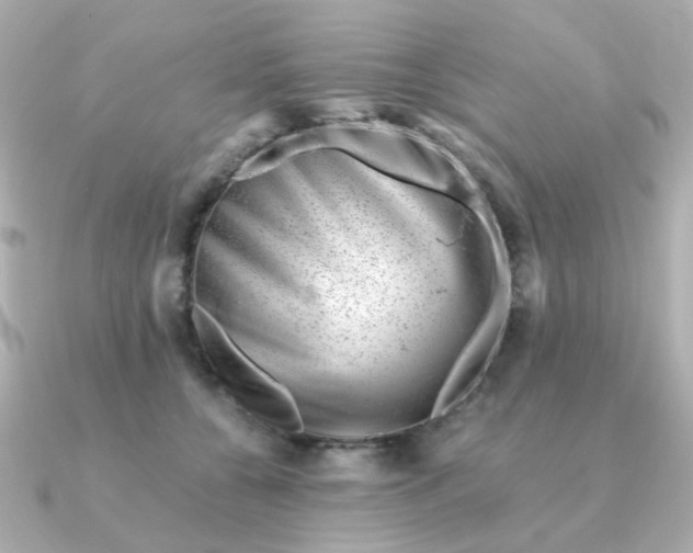 X0000090880560200708101346